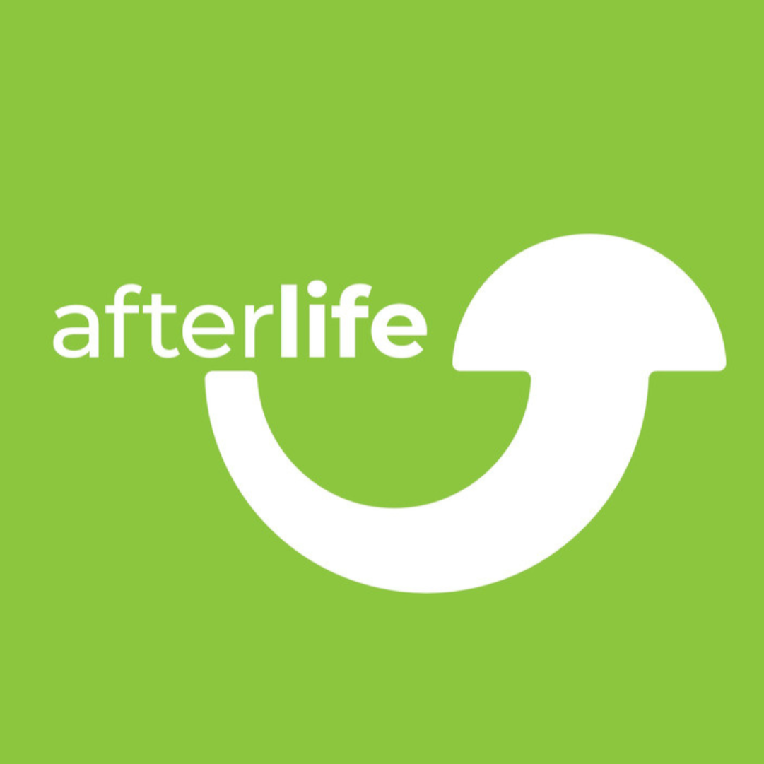 Afterlife